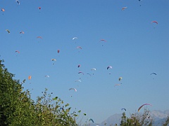Nuée de parapentes 06